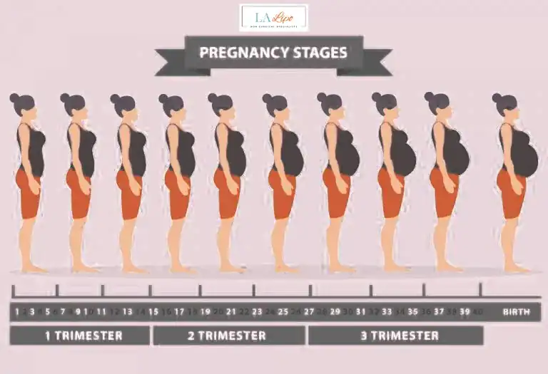 First Trimester (Weeks 1–12): Early Changes You Might Not Notice Chadwell Heath